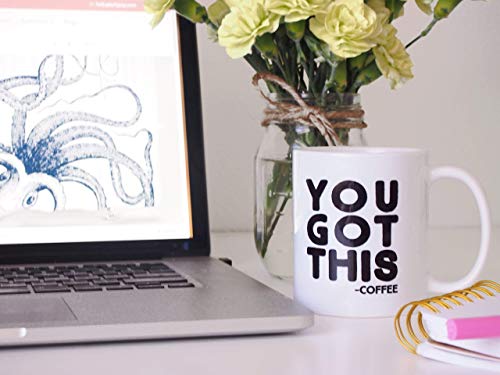 You Got This Funny Coffee Mug, Gift for Coworker Friend Boss, Motivational Inspirational Fun Cup (11oz)